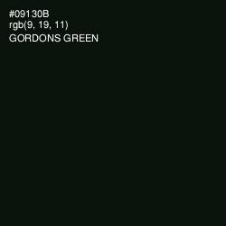 #09130B - Gordons Green Color Image